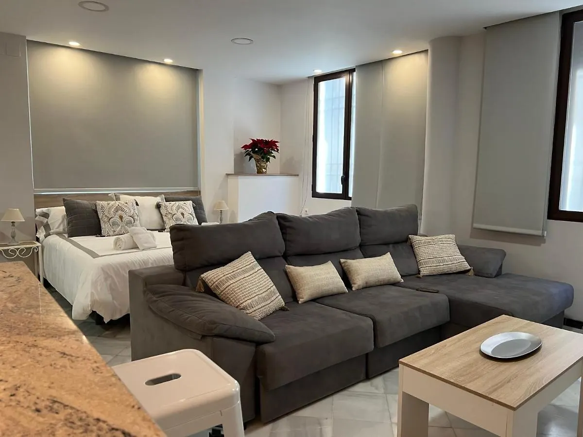 Urban Loft Cordoba Apartment