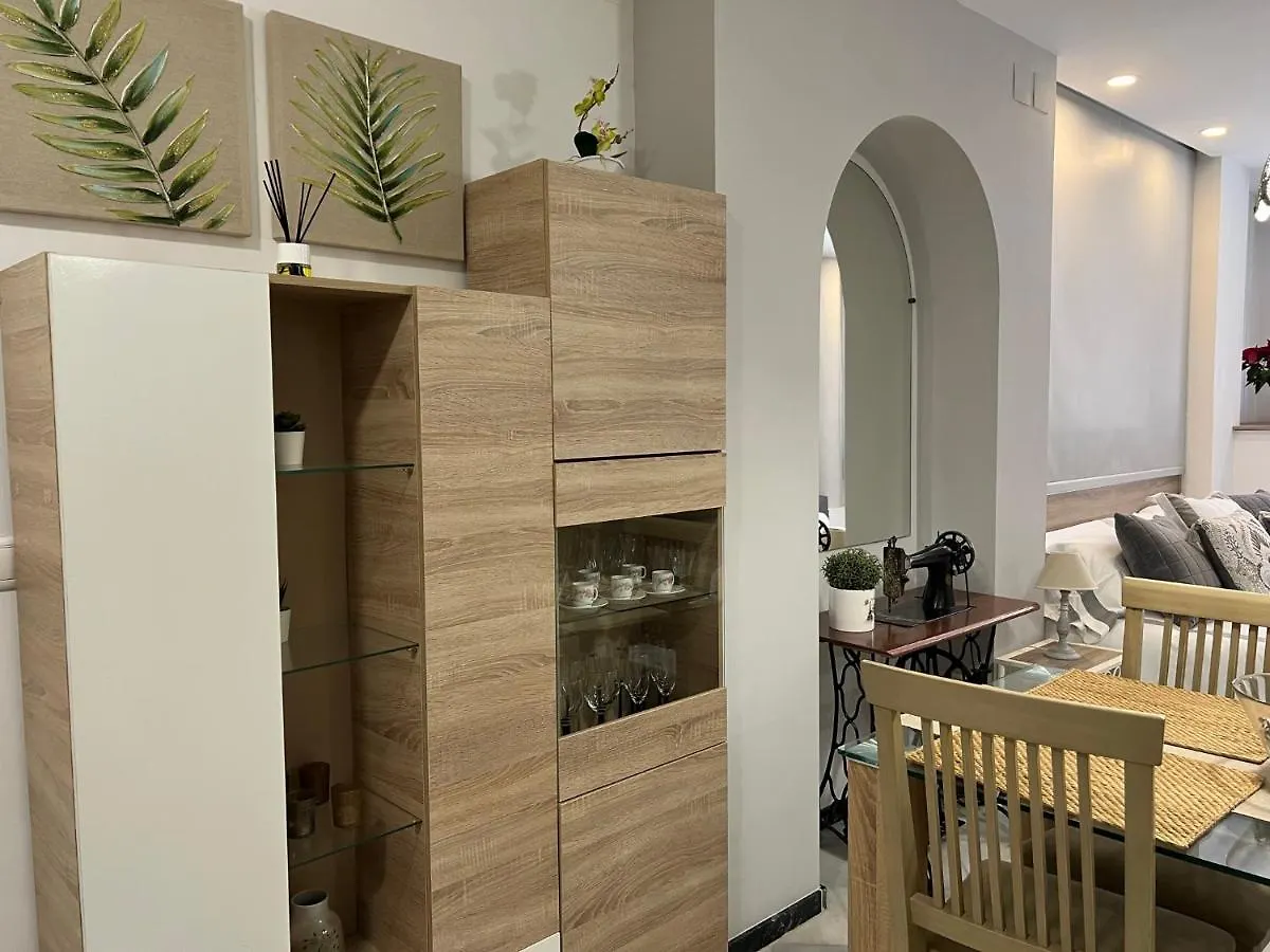 Urban Loft Cordoba Apartment